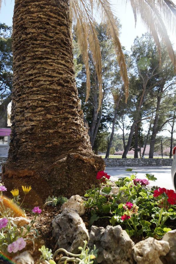 Frapedo Sport Makarska Apartman Kültér fotó