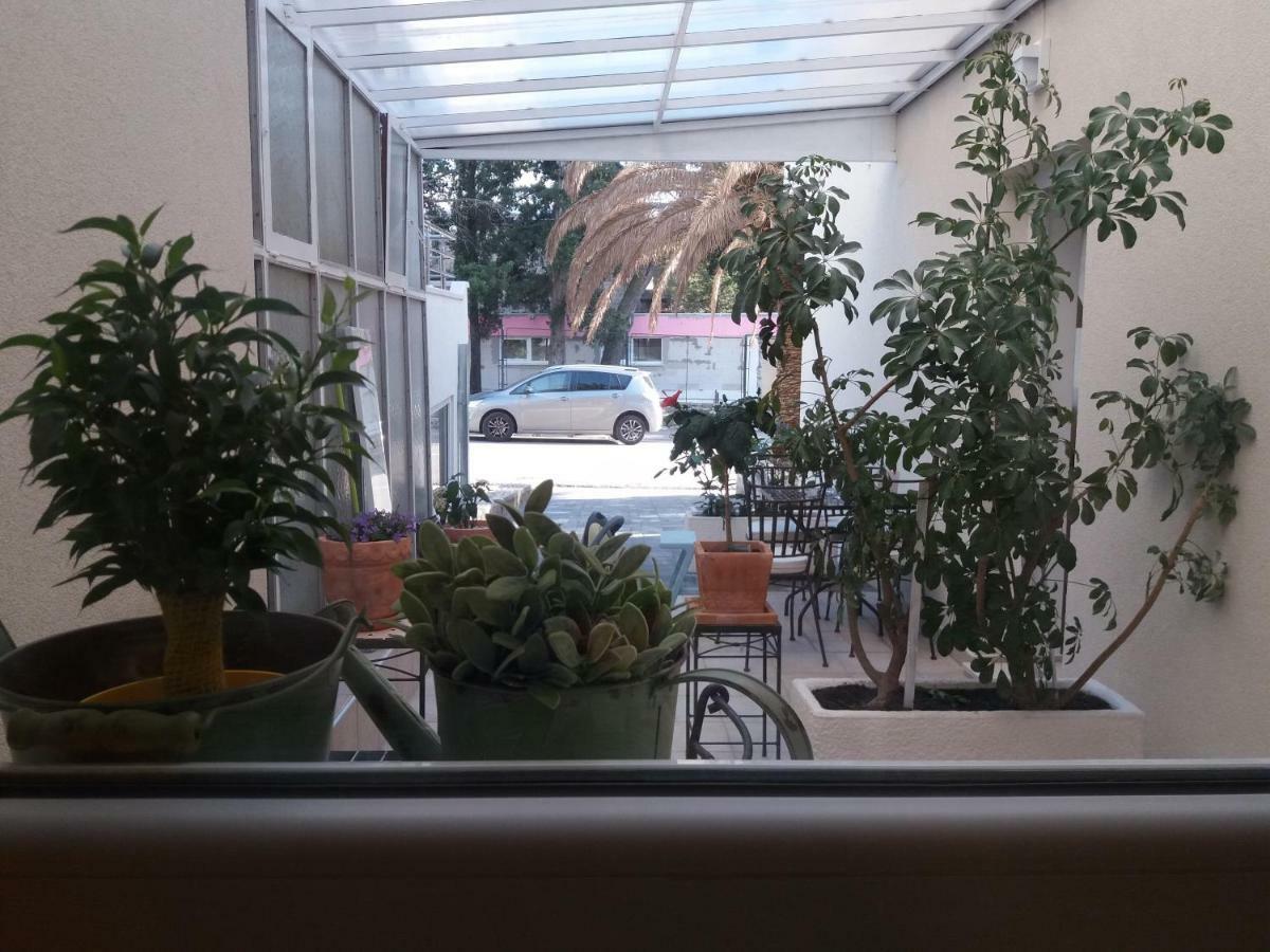 Frapedo Sport Makarska Apartman Kültér fotó